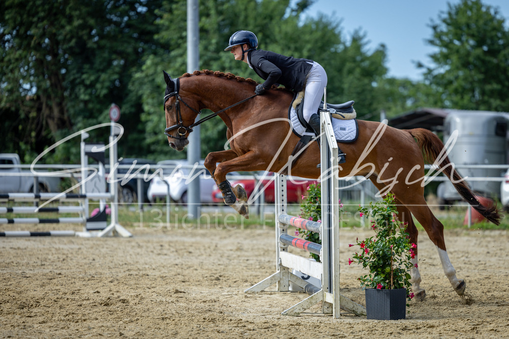 20260704-_3LI6978 | Tierfotografie Pferde, Hunde, Katzen, Haustiere.
Turnierfotografie Reitturniere, Reiten, Springreiten, Dressur in Hanau, dem Main-Kinzig-Kreis und dem Rhein-Main- Gebiet um Frankfurt