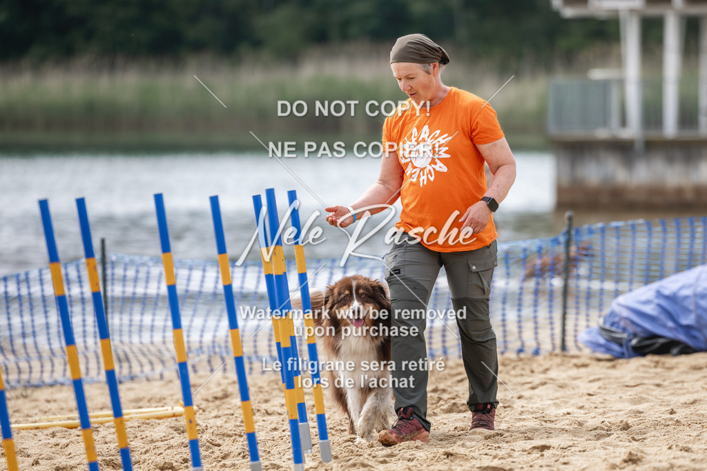 nelerasche_BuHu2026_So1530-Ende_122 | nelerasche