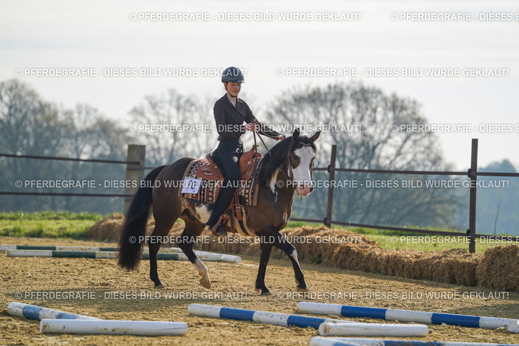 DSC00732 | Pferdegrafie