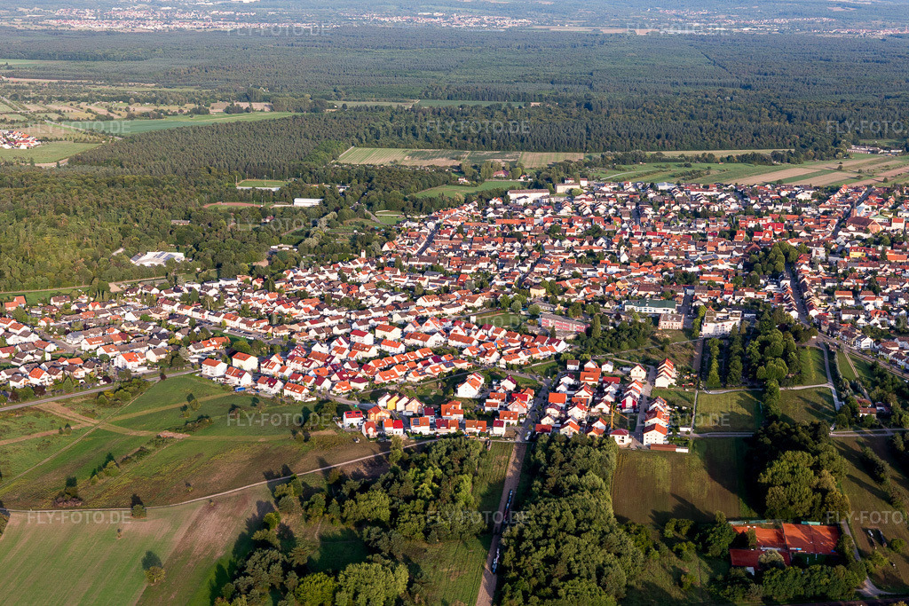 Luftbild: Ortsansicht von Westen im Ortsteil Wiesental in Waghäusel im Bundesland Baden-Württemberg in Deutschland. Foto: IMG_102468.jpg vom 24.08.2017 durch Werner Riehm/FLY-FOTO.de