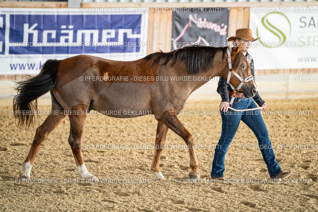 DSC07458 | Pferdegrafie