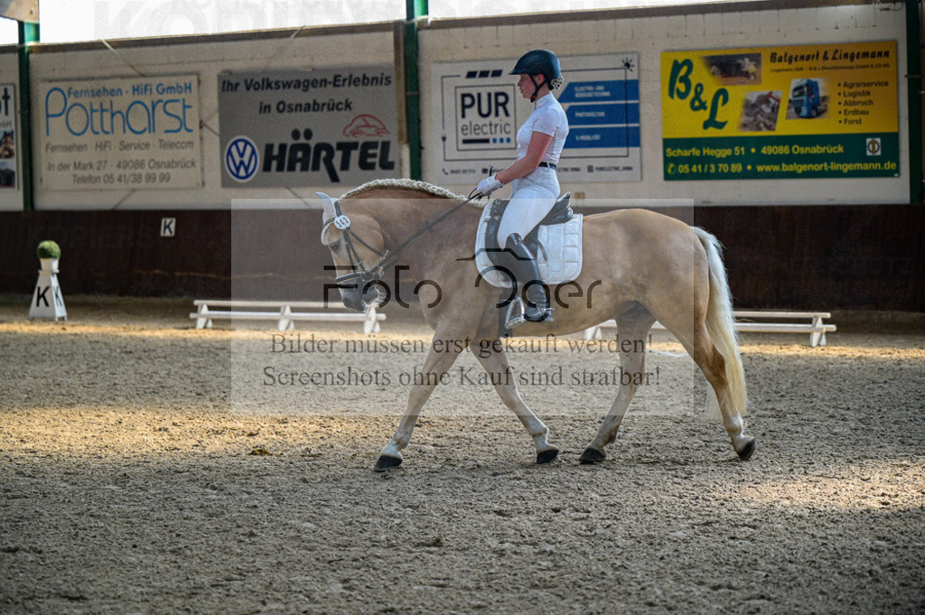 Reitturnier Voxtrup | Entdecke hochwertige Reitturnierfotos von Foto Oger. Professionell, emotional und authentisch – jetzt Lieblingsmomente im Shop bestellen.Deutschlandweite Turnierfotografie. - Realisiert mit Pictrs.com