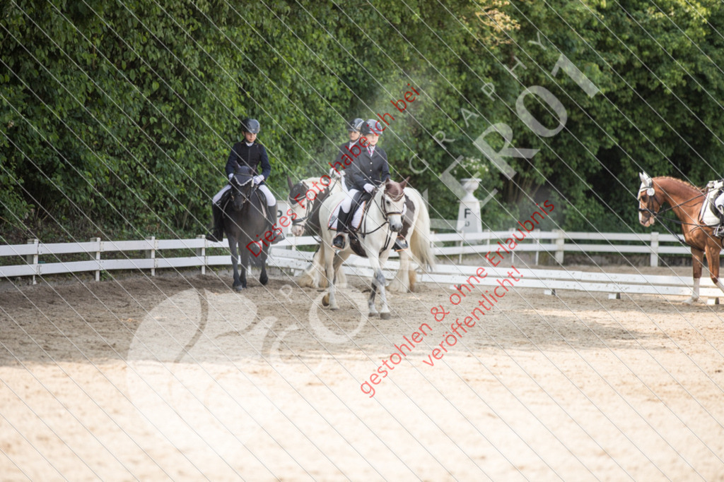 IMG_3185 | Sport-, Event- und Tierfotos in Profiqualität. Einfach auswählen, bestellen und herunterladen. Dein Moment – perfekt festgehalten.