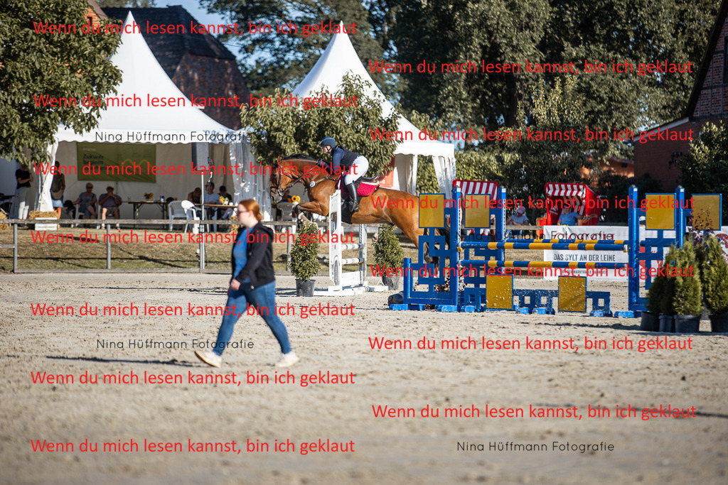 BK1A7669 | Turnierbilder Turnierfotos Nina Hüffmann Turnierfotografie Pferdefotografie Tierzeichnung Haustierzeichnung Pferdezeichnung Hundezeichnung Videograf  - Realisiert mit Pictrs.com