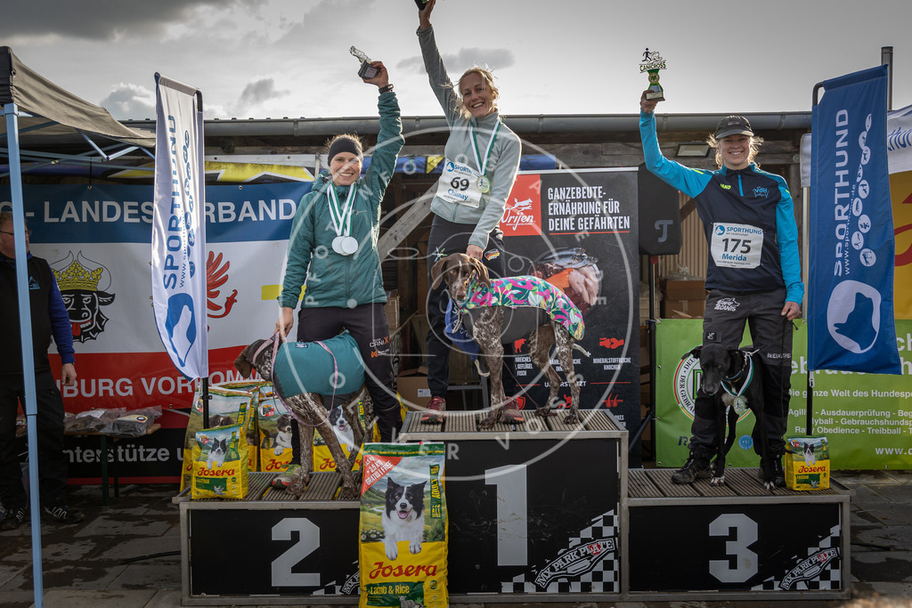 0L8A9262 | Hundefotografie, Tierfotograf, Pfotenfotografie, Fotoshooting Hund, Hunde Portrait, Hundesport, Hundeportraits, Heideshooting, Hunde, Sportfotograf, Hundefotograf, Turnierhundsport, THS,  - Realisiert mit Pictrs.com