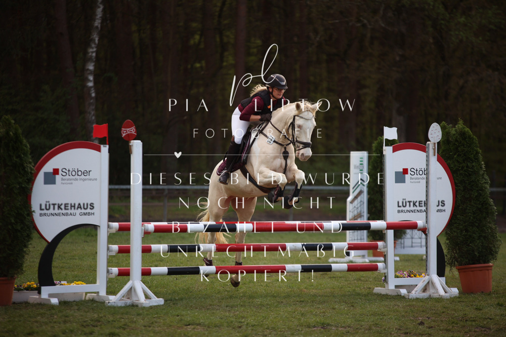 IMGT9442 | pl-fotografie