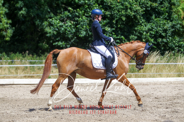 DKP46491 | Turniersportfotografie; Pferdefotografie; Dressurfotografie