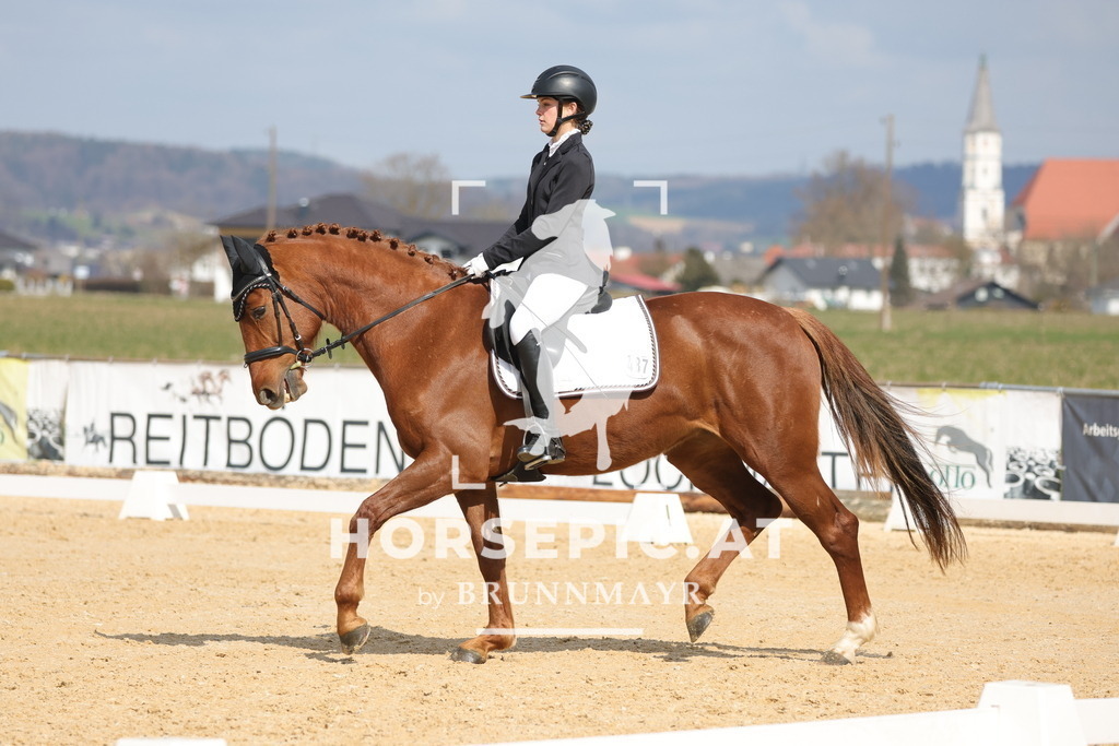 0P6A6798 | Willkommen bei Brunnmayr - Design & Fotografie – Ihrem Spezialisten für Reitturniere und Pferdeveranstaltungen in Oberösterreich, Salzburg und Bayern! Seit über 17 Jahren sind wir leidenschaftlich dabei.