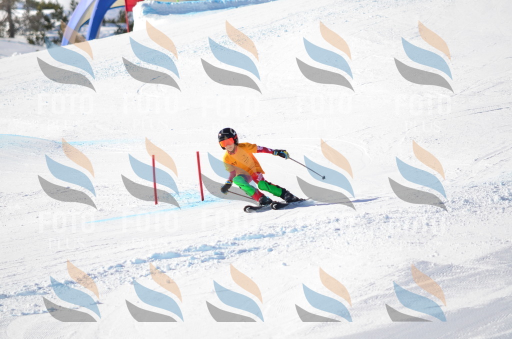 C6239 | holidayphoto