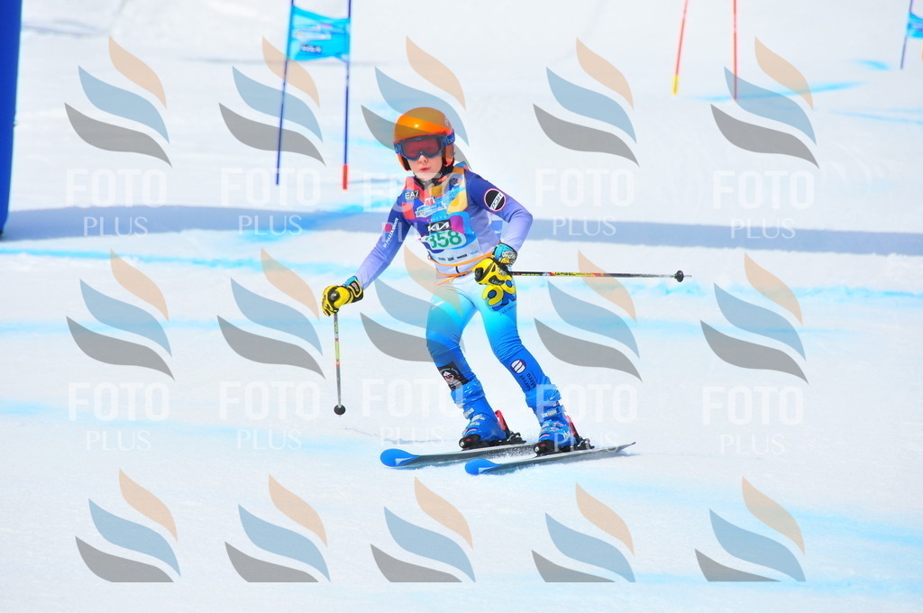 DSC_3213 | holidayphoto