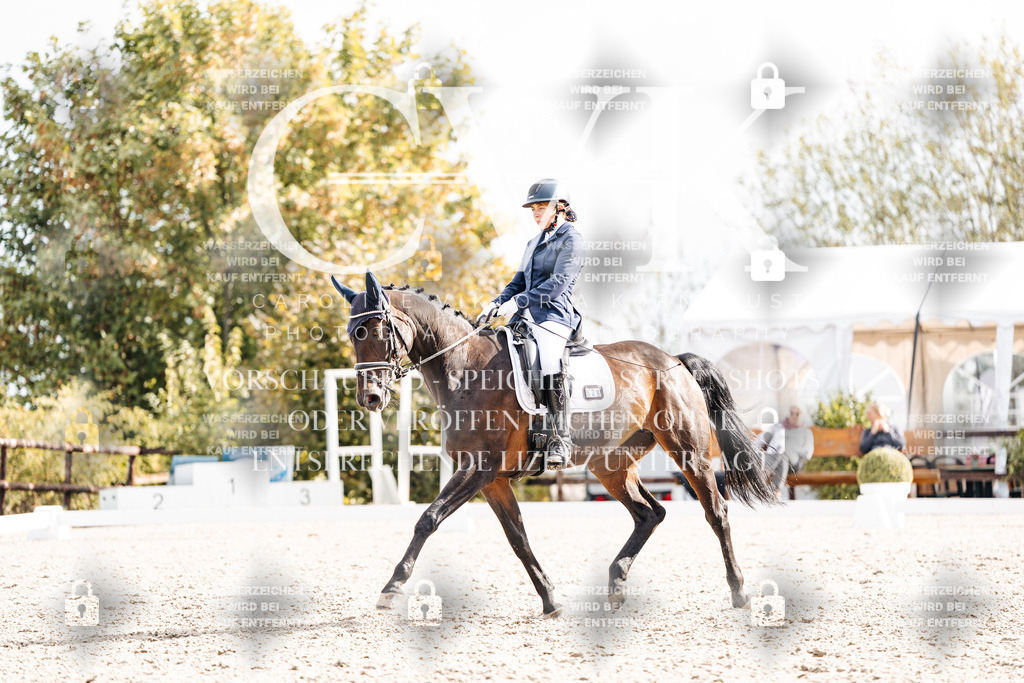 CK901453 | Turnierfotografie Pferdefotografie Trier Rheinland-Pfalz Pferdesport Reitsport Tierfotografie Sportfotografie Pferdevideo Pferdevideografie Equestrianvideography equestrianphotography  - Realisiert mit Pictrs.com