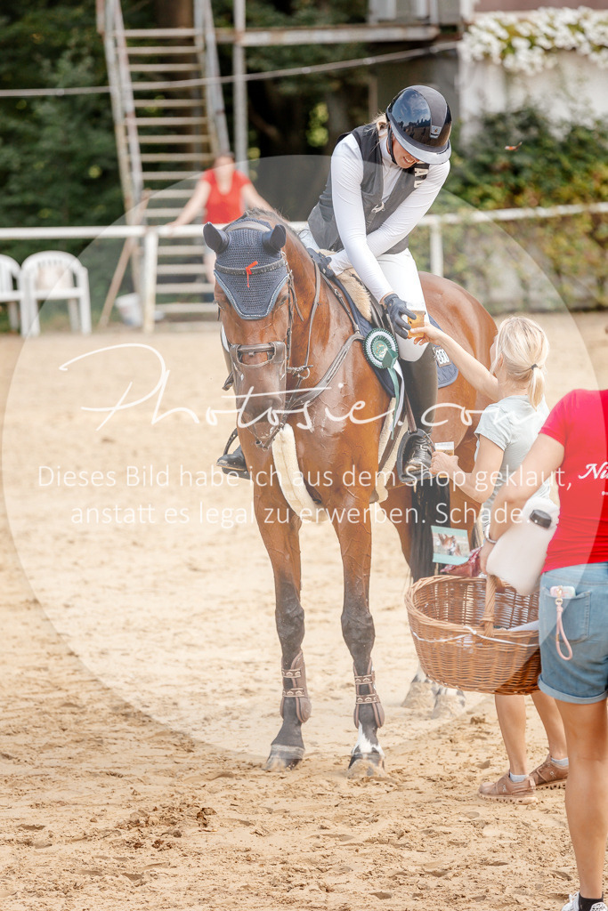 3I6A5334 | Stimmungsvolle Portraits und Reitsportfotografie im Ruhrgebiet und im Münsterland.

Pferdefotografie, Hundefotografie, Tierfotografie, Reportagen, Portraits von Tier und Mensch, Turnierfotografie in Bochum, Recklinghausen, Marl, Haltern am See, Dülmen.. - Realisiert mit Pictrs.com