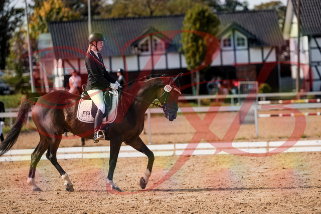 2026_10_03_Siefer-Hof_132116_Z63_82340490 | Professionelle Reitsport-, Turnier- und Eventfotografie von Robert Broda. Galerien mit ausgewählten und bearbeiteten Bildern direkt online ansehen und bestellen.