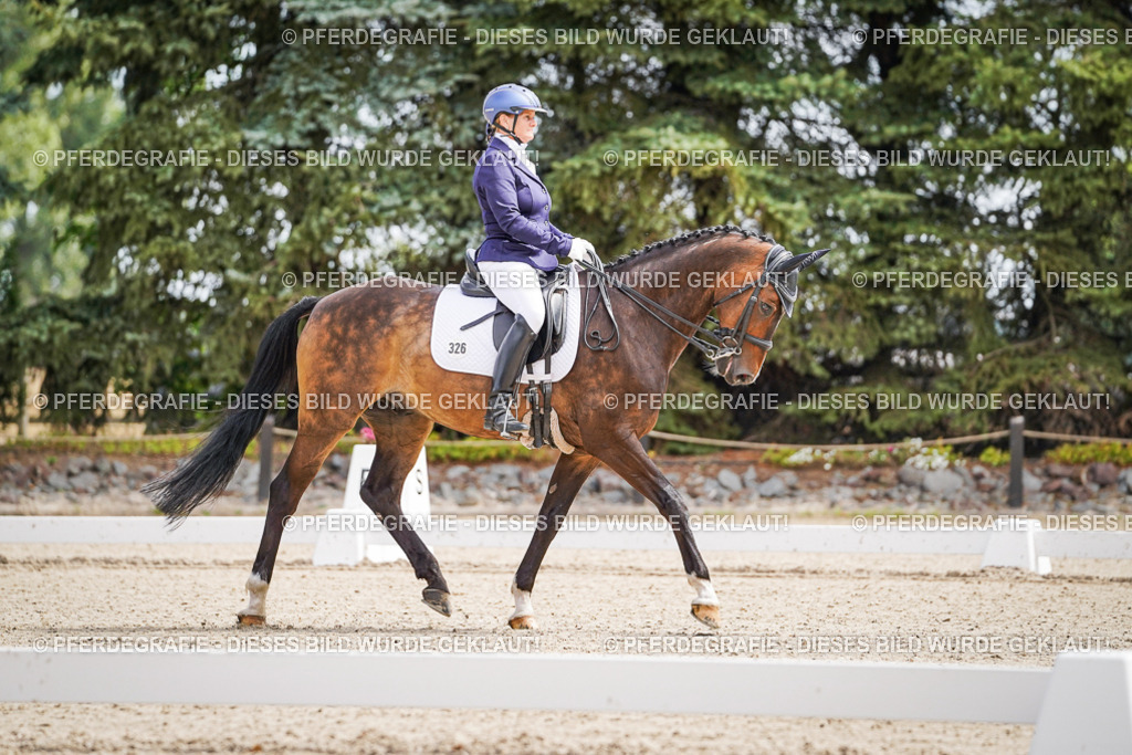 DSC02481 | Pferdegrafie