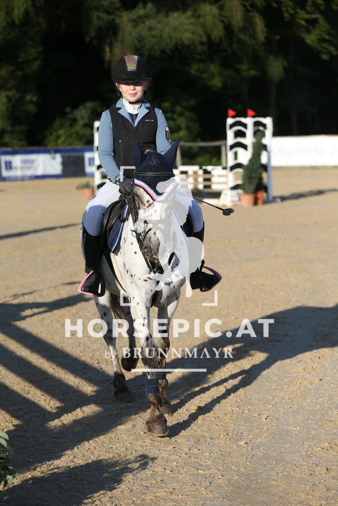 DL2Q7102 | Willkommen bei Brunnmayr - Design & Fotografie – Ihrem Spezialisten für Reitturniere und Pferdeveranstaltungen in Oberösterreich, Salzburg und Bayern! Seit über 17 Jahren sind wir leidenschaftlich dabei.