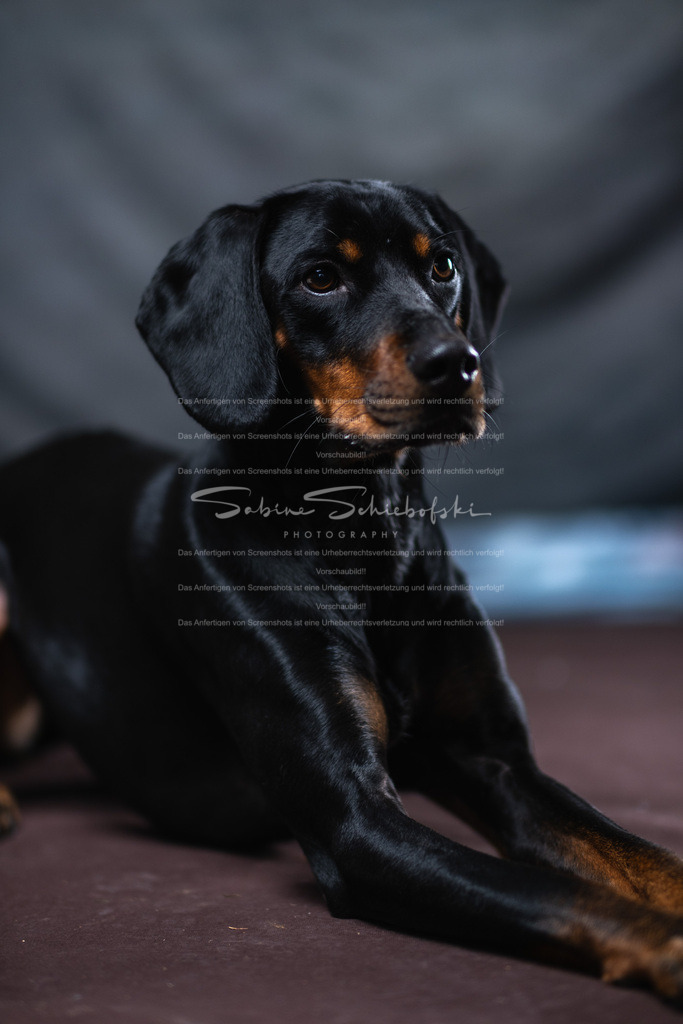 DSCF4435 | People- und Tierfotografie, Imageaufnahmen, Veranstaltungsfotografie und Wandbilder aus der Natur ★ Made in Germany ✔️ Druck + Downloads ✔️ Naturfotografie in Top Qualität ★ schneller Versand, weltweite Lieferung! - Realisiert mit Pictrs.com