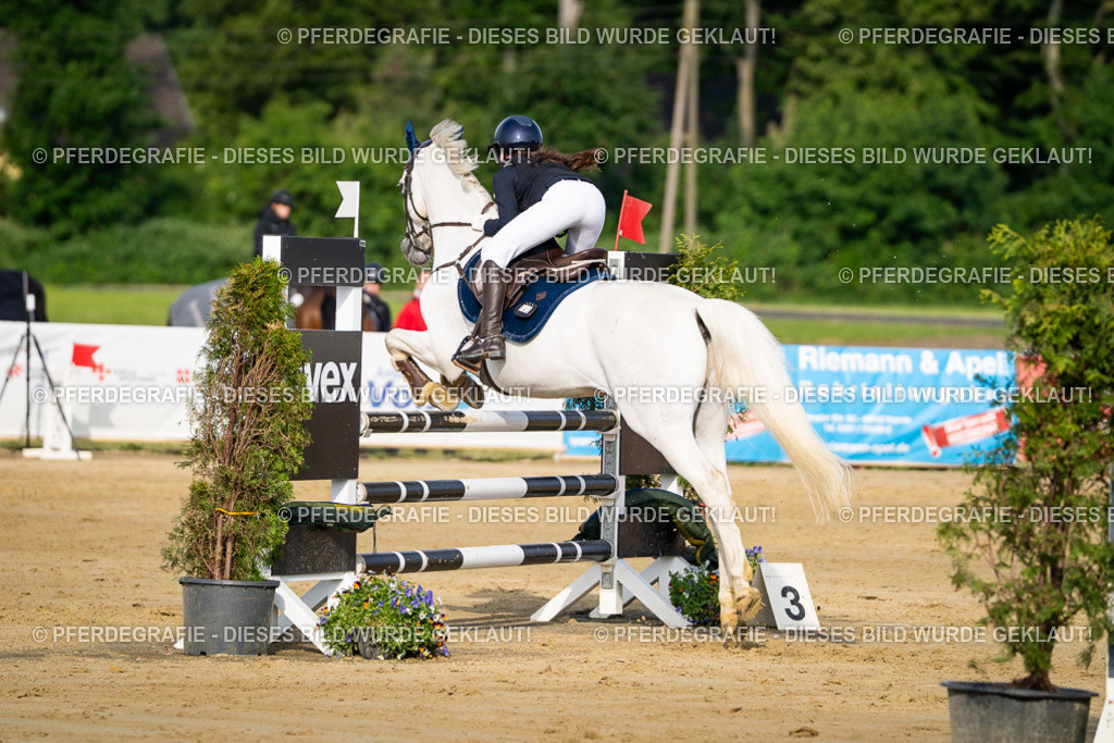 DSC02968 | Pferdegrafie