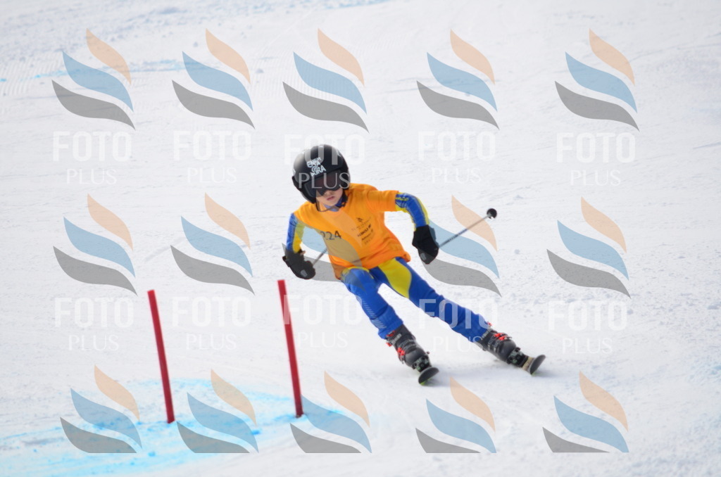 C8263 | holidayphoto