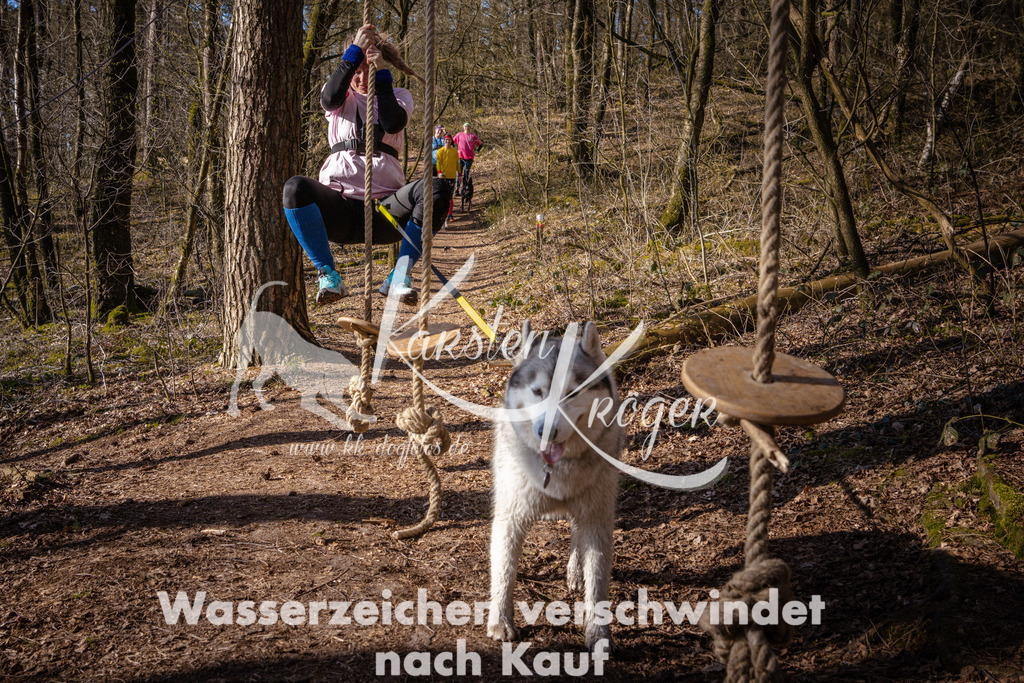 0915_ZZ96812 | kk-dogfotos