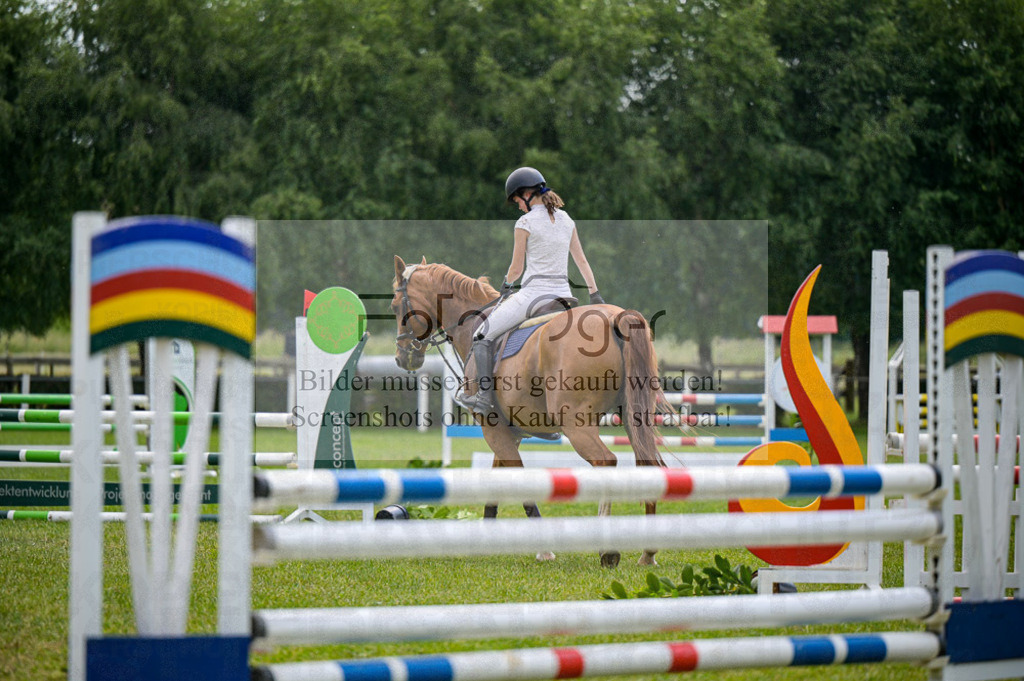 Reitturnier Voxtrup | Entdecke hochwertige Reitturnierfotos von Foto Oger. Professionell, emotional und authentisch – jetzt Lieblingsmomente im Shop bestellen.Deutschlandweite Turnierfotografie. - Realized with Pictrs.com