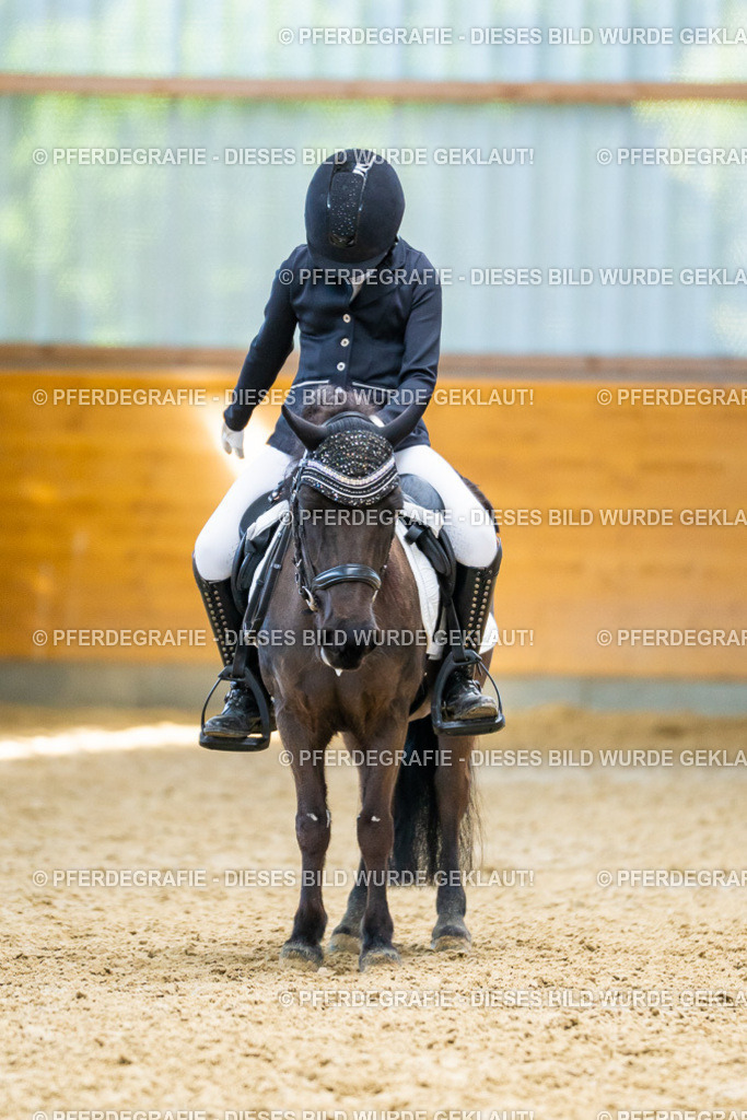 DSC09040 | Pferdegrafie