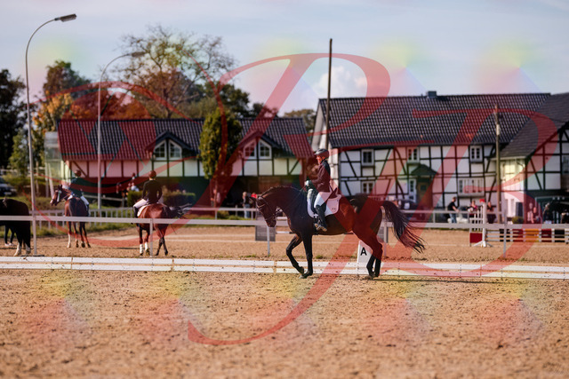 2026_10_03_Siefer-Hof_133757_Z81_93801521 | Professionelle Reitsport-, Turnier- und Eventfotografie von Robert Broda. Galerien mit ausgewählten und bearbeiteten Bildern direkt online ansehen und bestellen.