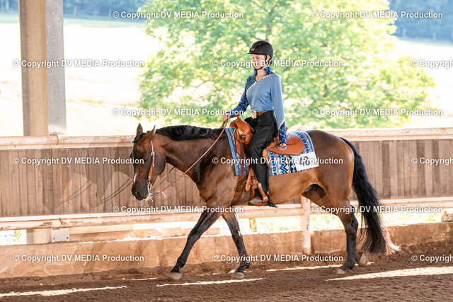 Erbach Tag 3-253 | dv-media-shop - Realized with Pictrs.com