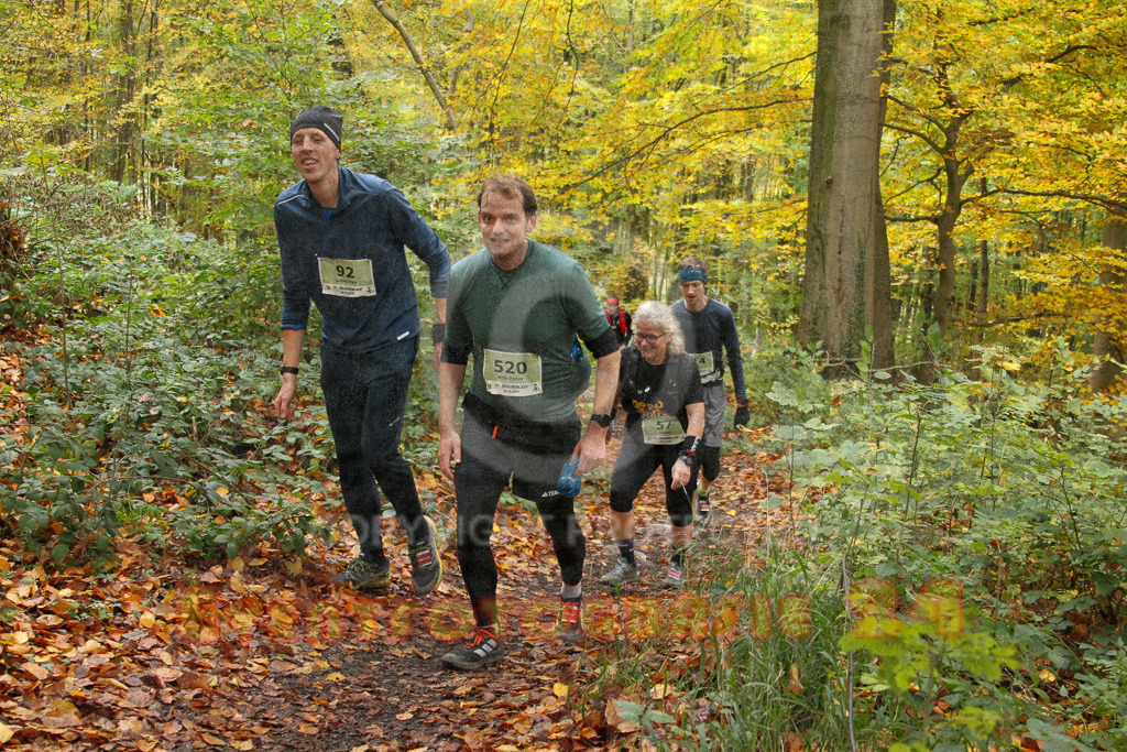 251026_1257_EV4_6196 | Sportfotografie im Rhein-Sieg Kreis, Köln, Bonn, NRW, Rheinland Pfalz, Hessen, etc. Unser Tätigkeitsfeld umfasst den Laufsport vom Volkslauf über den Marathon, Duathlon, Triathon bis zum Ultralauf wie Kölnpfad Ultra oder Schindertrail.