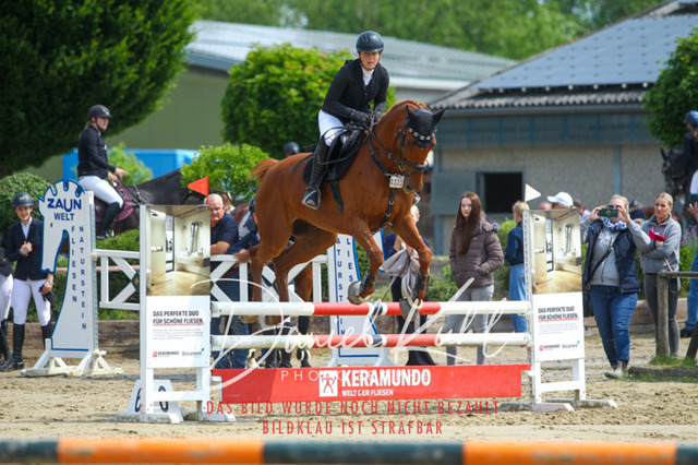 DKP41387 | Turniersportfotografie; Pferdefotografie; Dressurfotografie