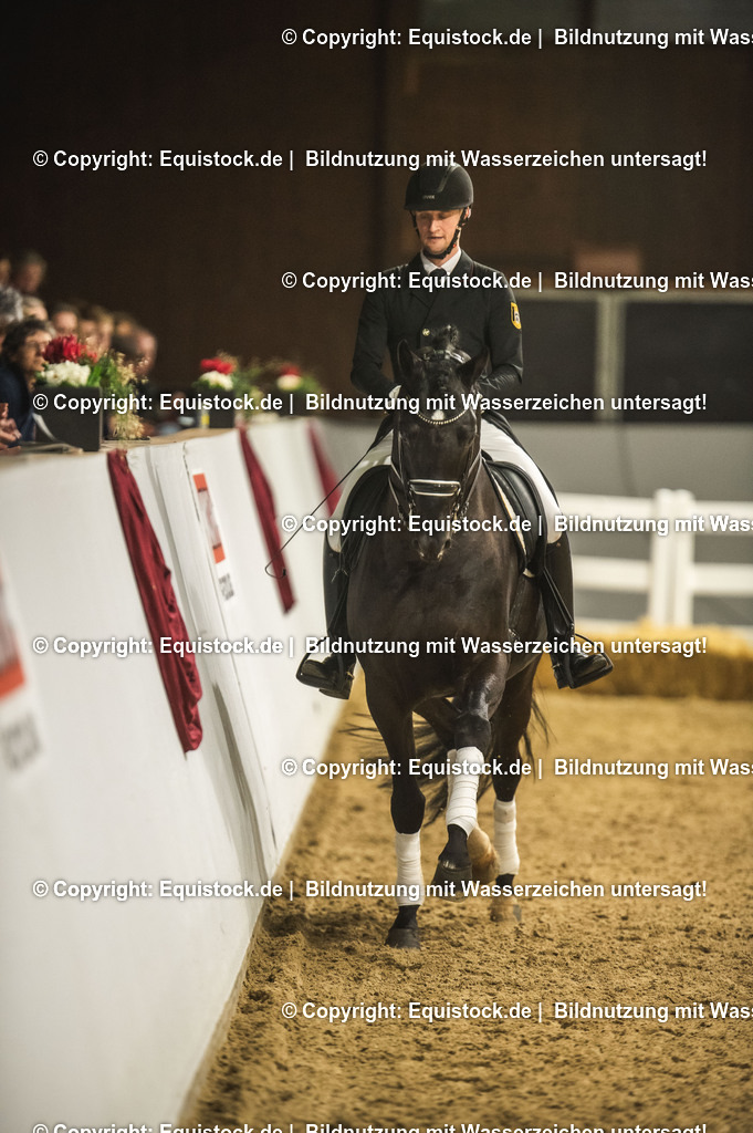 20240302_Hengstvorstellung_Marbach_TOMsPiC_1560 | equistock