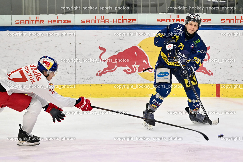 RED BULL HOCKEY JUNIORS vs. EK DIE ZELLER EISBÄREN | #17 Assavolyuk Daniel RED BULL HOCKEY JUNIORS, #75 Wilfan Maximilian EK DIE ZELLER EISBÄREN, RED BULL HOCKEY JUNIORS vs. EK DIE ZELLER EISBÄREN, RED BULL HOCKEY JUNIORS vs. EK DIE ZELLER EISBÄREN am 14.01.2025 in Salzburg (Eisarena Salzburg), Austria, (Photo by Bernd Stefan)