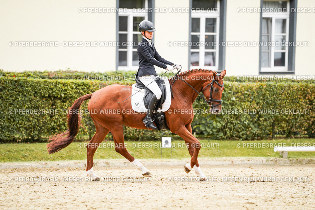 DSC07575 | Pferdegrafie