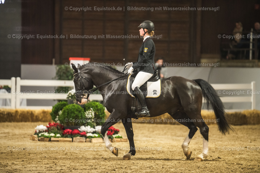 20240302_Hengstvorstellung_Marbach_TOMsPiC_0718-2 | equistock