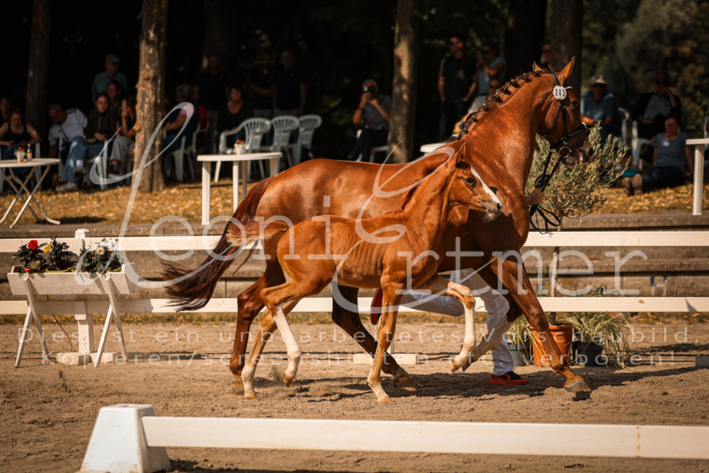 09.DoWBD00016 | Leoni Ertmer Photography - Realisiert mit Pictrs.com