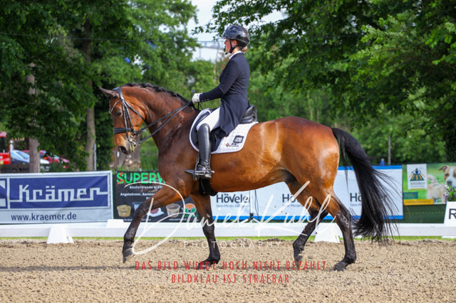 DKP41703 | Turnierfotos kaufen im Webshop von Daniel Kuhl Photography – entdecke professionelle Reitsportfotos aus Turnieren & Events. Hochwertige Turnierbilder online bestellen & sichern. Jetzt Fotos von Reitsportturnieren kaufen!
