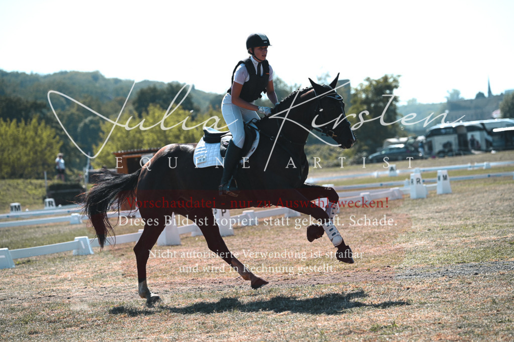 DSC_8360 | Pferde- und Turnierfotografie in Westsachsen. Pferdeportraits, Auftragszeichnungen und intuitive Kunst.