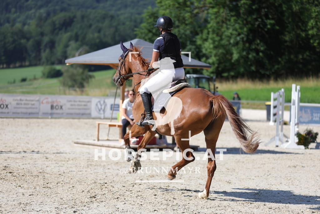 0P6A5527 | Willkommen bei Brunnmayr - Design & Fotografie – Ihrem Spezialisten für Reitturniere und Pferdeveranstaltungen in Oberösterreich, Salzburg und Bayern! Seit über 17 Jahren sind wir leidenschaftlich dabei.
