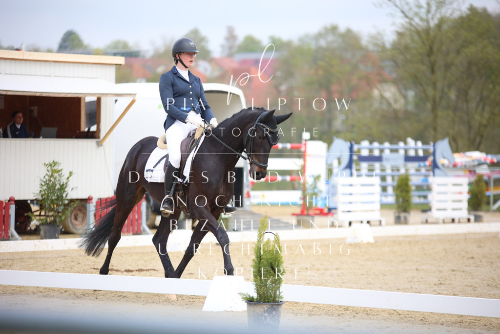 IMGT6258 | pl-fotografie