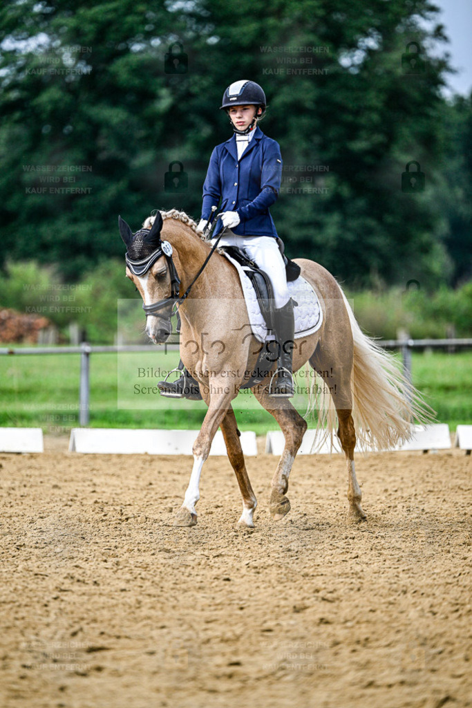 Reitturnier Hasbergen | Entdecke hochwertige Reitturnierfotos von Foto Oger. Professionell, emotional und authentisch – jetzt Lieblingsmomente im Shop bestellen. - Realisiert mit Pictrs.com