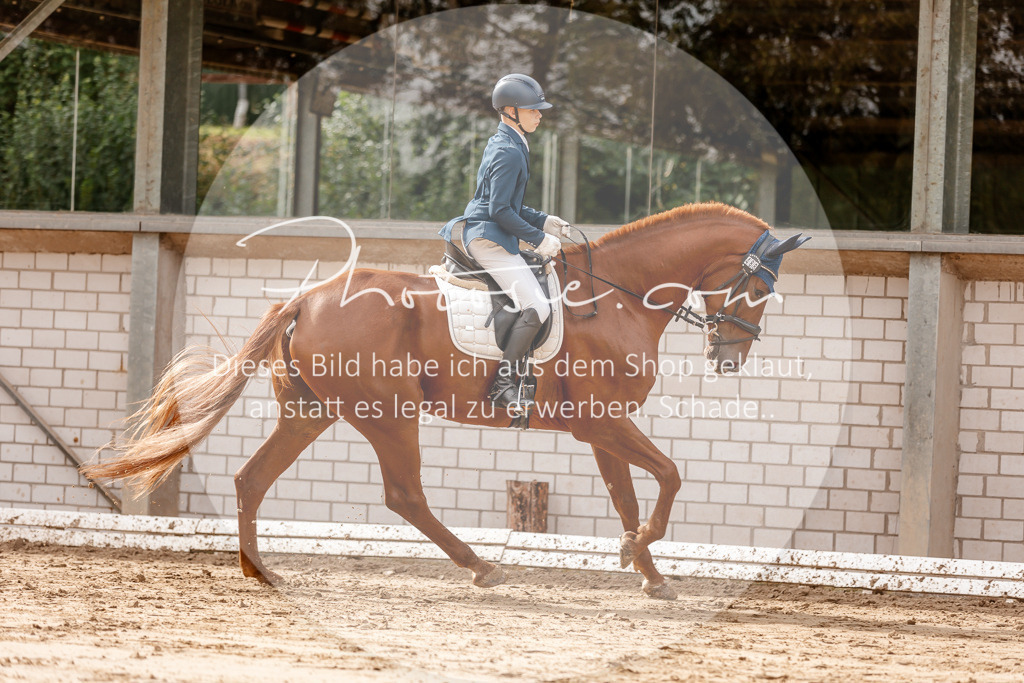 3I6A6997 | Stimmungsvolle Portraits und Reitsportfotografie im Ruhrgebiet und im Münsterland.

Pferdefotografie, Hundefotografie, Tierfotografie, Reportagen, Portraits von Tier und Mensch, Turnierfotografie in Bochum, Recklinghausen, Marl, Haltern am See, Dülmen.. - Realisiert mit Pictrs.com