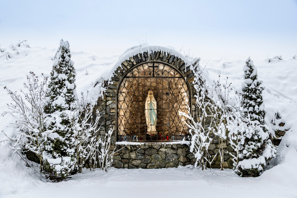 _ 3382_WINTER26_8019 | WInteraufnahmen Loosdorf 2026