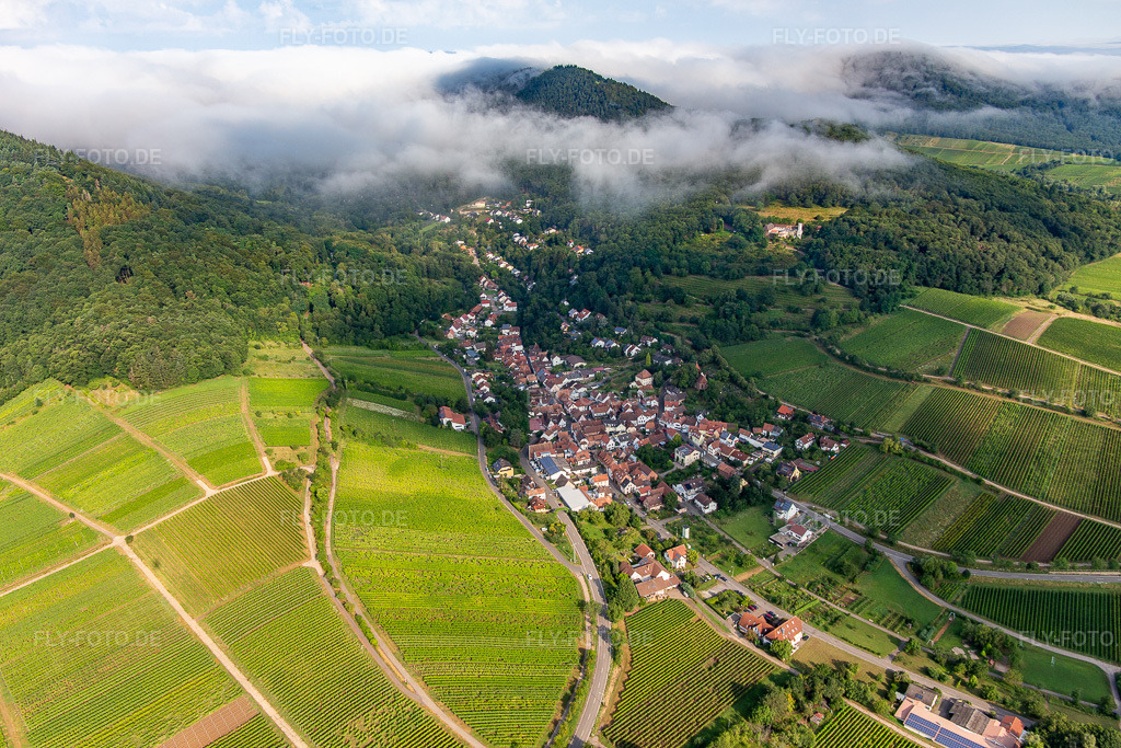 Luftbild: Birnbachtal am Morgen von Südosten in Leinsweiler im Bundesland Rheinland-Pfalz in Deutschland. Foto: IMG_142954.jpg vom 03.08.2024 durch Werner Riehm/FLY-FOTO.de