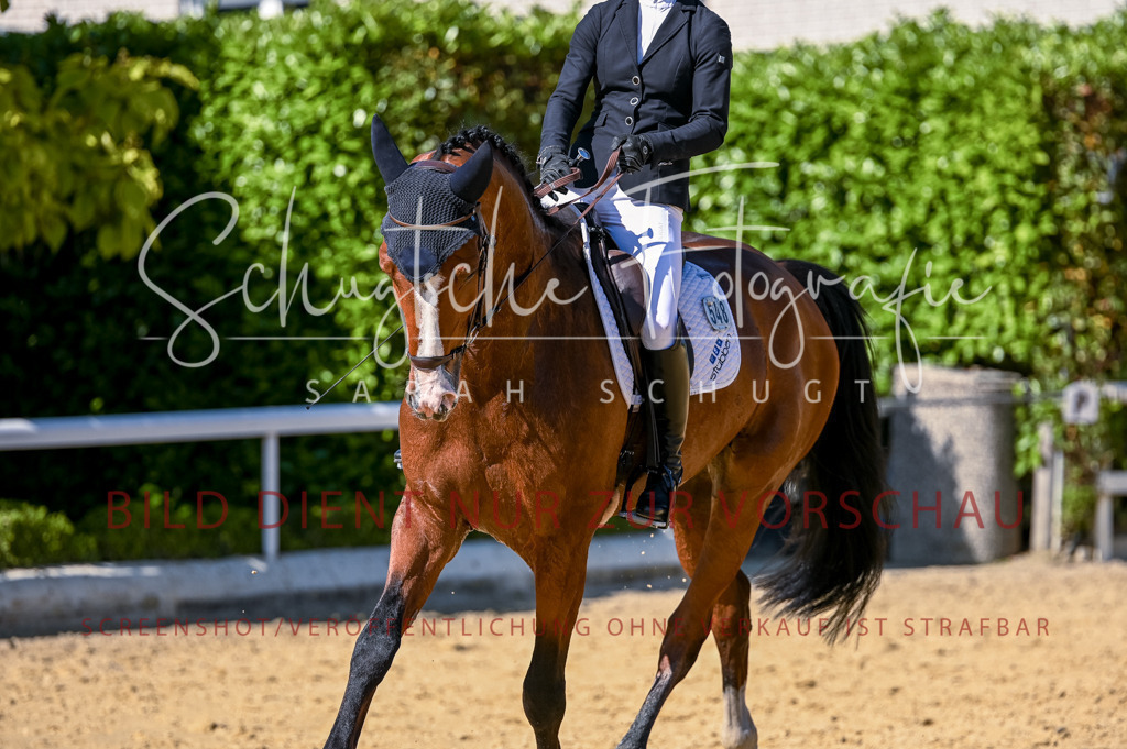 Schugtsche-Aluta25-50.Dressurpferdeprf.L-135 | Schugtsche Fotografie - Realisiert mit Pictrs.com