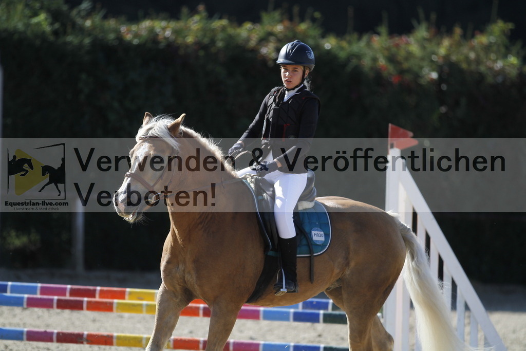 _MG_4194 | equestrian-live-com