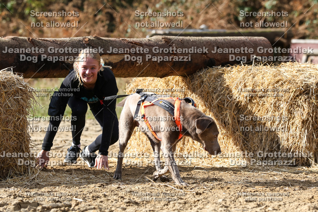 Dog Paparazzi - Strongdog 10-25-5146 | Dog Paparazzi Jeanette Grottendiek Fotografie & Videografie - Realisiert mit Pictrs.com