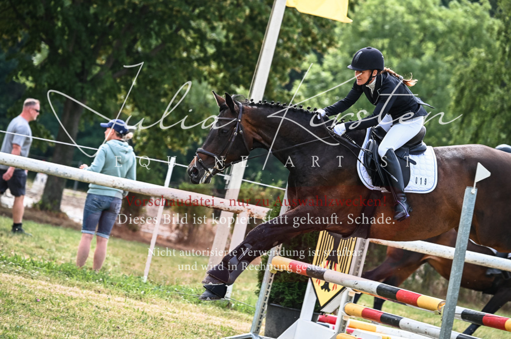 DSC_8319 | Pferde- und Turnierfotografie in Westsachsen. Pferdeportraits, Auftragszeichnungen und intuitive Kunst.