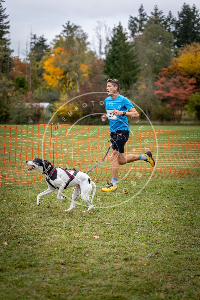 Pfotenfotografie_DV3A2094 | Hundefotografie, Tierfotograf, Pfotenfotografie, Fotoshooting Hund, Hunde Portrait, Hundesport, Hundeportraits, Heideshooting, Hunde, Sportfotograf, Hundefotograf, Turnierhundsport, THS,  - Realisiert mit Pictrs.com