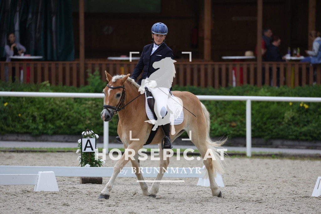 0P6A3588 | Willkommen bei Brunnmayr - Design & Fotografie – Ihrem Spezialisten für Reitturniere und Pferdeveranstaltungen in Oberösterreich, Salzburg und Bayern! Seit über 17 Jahren sind wir leidenschaftlich dabei.