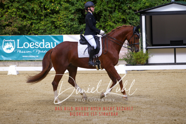 DKP40846 | Turniersportfotografie; Pferdefotografie; Dressurfotografie