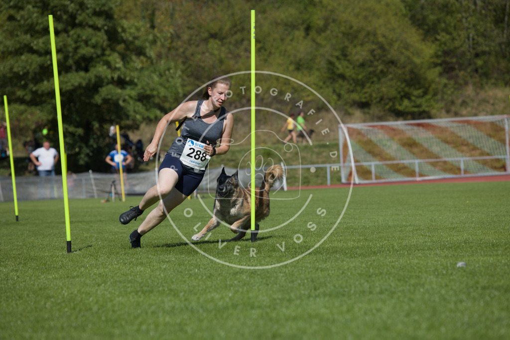 0L8A6953 | Hundefotografie, Tierfotograf, Pfotenfotografie, Fotoshooting Hund, Hunde Portrait, Hundesport, Hundeportraits, Heideshooting, Hunde, Sportfotograf, Hundefotograf, Turnierhundsport, THS,  - Realisiert mit Pictrs.com